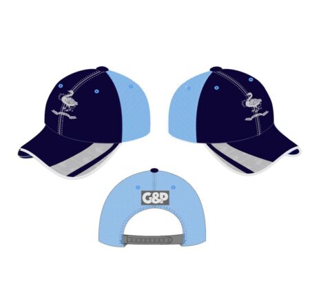 HWCC Baseball Cap